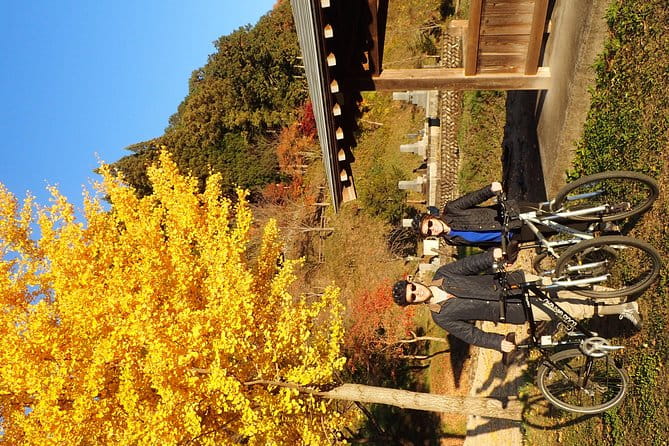 Short Morning Cycling Tour in Hida - Visiting Locals-Only Places and Hidden Gems