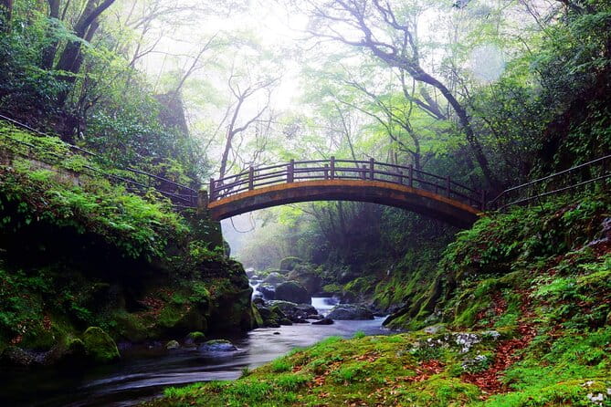 Shrine & Scenic Tour: Kamishikimi, Amano Iwato, Takachiho Gorge - Key Points