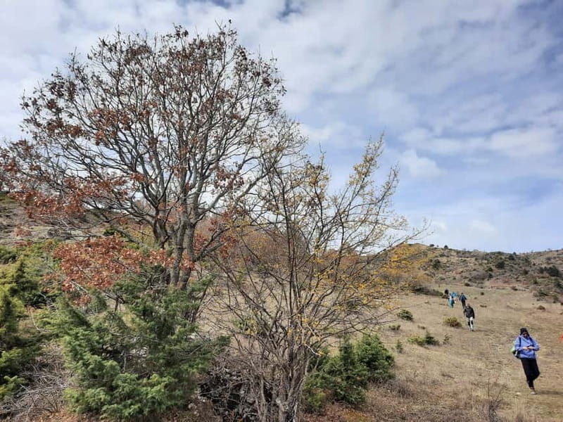 Shtegu i Vakëfëve (Trail of Holly Lands) - Key Points / Takeaways