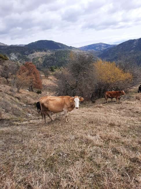 Shtegu i Vakëfëve (Trail of Holly Lands) - Starting the Day: From Korçë to Panarit