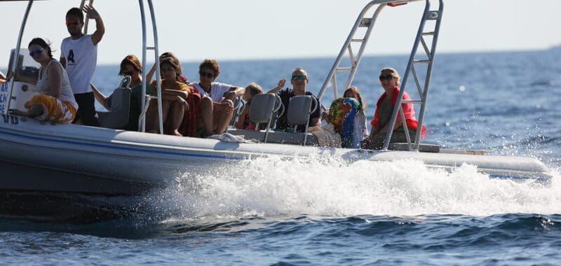 Sibenik: Full-Day Kornati National Park Boat Tour - Who Will Love This Tour