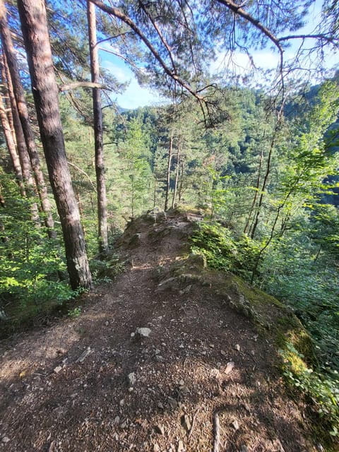 Sibiu: Cindrel Mountains Hike with Traditional Brunch - Key Points and Takeaways