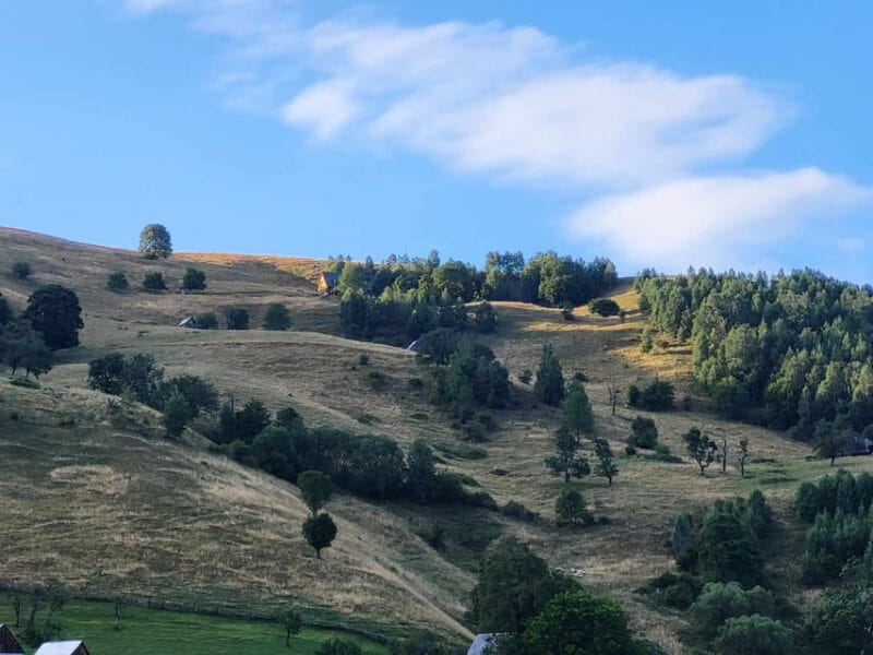 Sibiu: Cindrel Mountains Hike with Traditional Brunch - Exploring the Cindrel Mountains: A Natural Escape Close to Sibiu