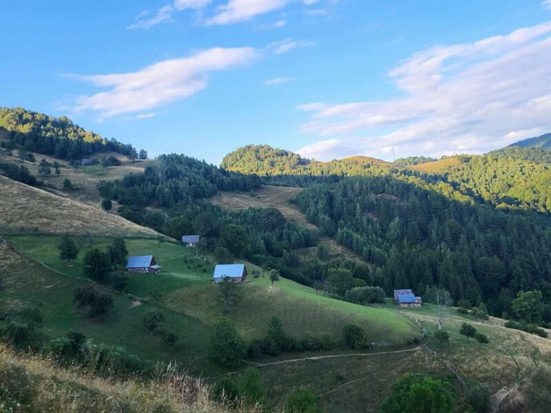 Sibiu: Cindrel Mountains Hike with Traditional Brunch - Who Will Love This Tour?