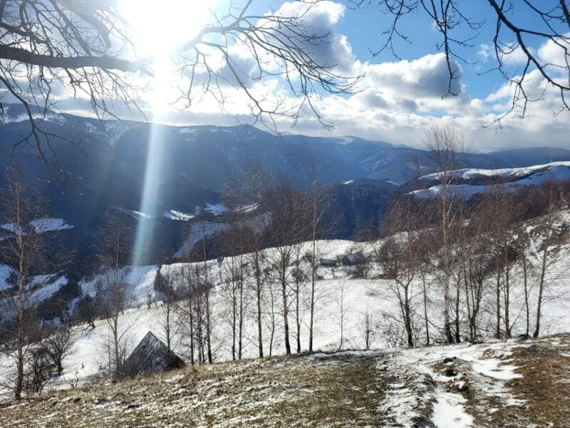 Sibiu: Cindrel Mountains Hike with Traditional Brunch - Practical Tips for Your Cindrel Mountains Hike