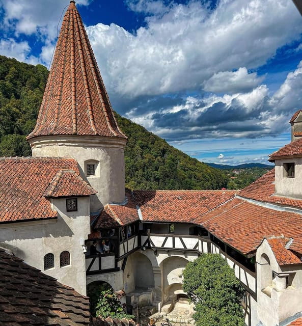 Sibiu: Dracula's Castle and Dino Park Day Trip - Exploring Draculas Castle in Bran