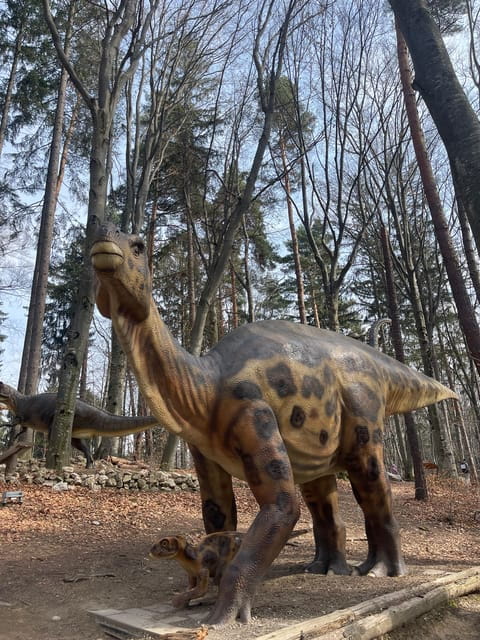 Sibiu: Dracula's Castle and Dino Park Day Trip - Rasnov: Dino Park or Fortress?