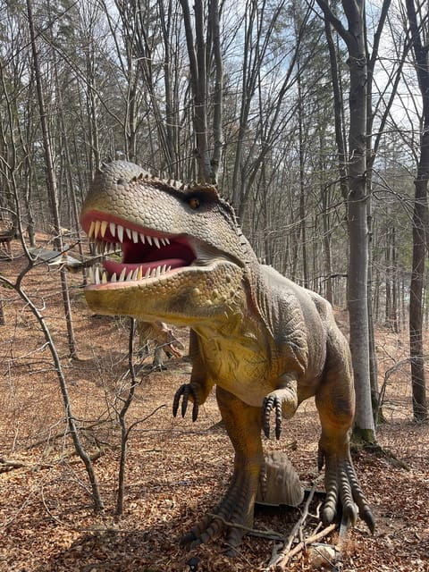 Sibiu: Dracula's Castle and Dino Park Day Trip - Who Is This Tour For?