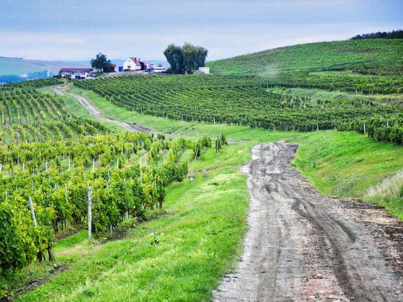 Sibiu, UNESCO & wine tasting tour (from Cluj) - Exploring the Charm of Sibiu & Its Surroundings