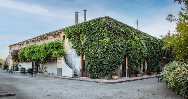 Sicilian Soul: Winery Tour, Wine & Food Tasting in Catania - Key points / Takeaways