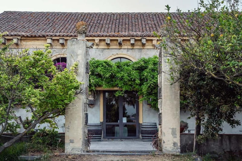 Sicilian Soul: Winery Tour, Wine & Food Tasting in Catania - An In-Depth Look at the Sicilian Soul Experience