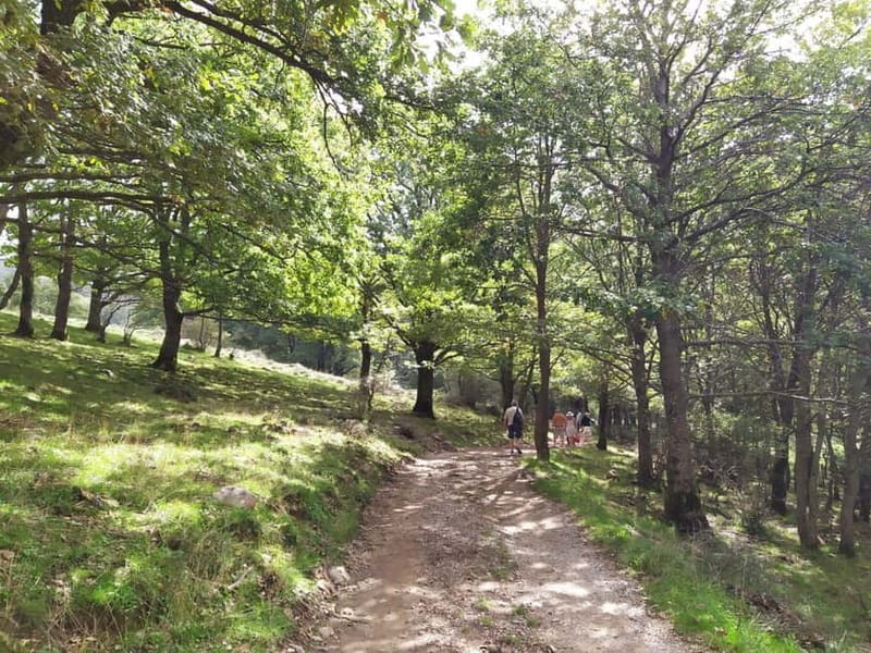 SICILIAN VILLAGES & RICOTTA PARTY departure from Cefalù area - Final Thoughts: Who Should Consider This Tour?