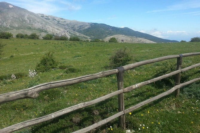 Sicilian Villages & Ricotta Tasting - including Lunch from Cefalu - Coming Up: A Full Breakdown of the Sicilian Villages & Ricotta Tasting Tour