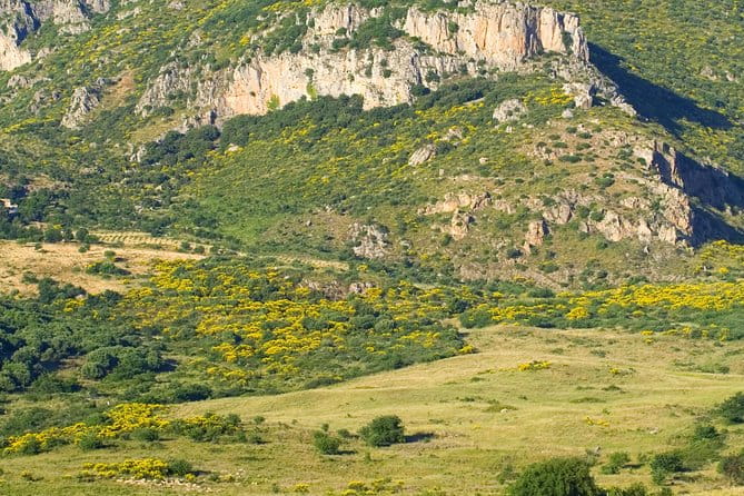 Sicilian Villages & Ricotta Tasting - including Lunch from Cefalu - The Bottom Line