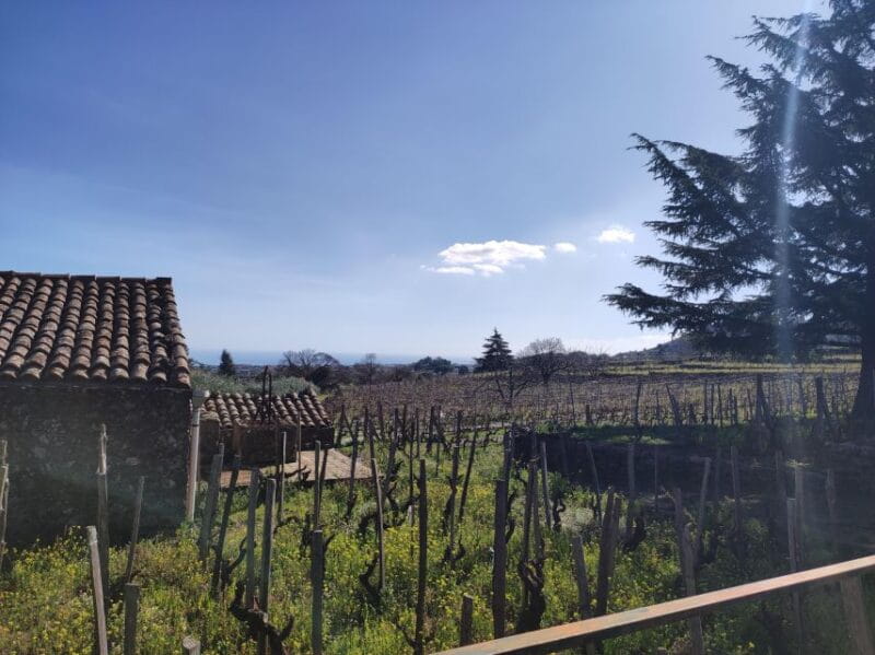 Sicily: Etna Volcano and Wine Tasting Tour - Key points / Takeaways
