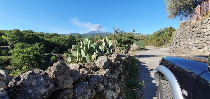 Sicily: Mount Etna 4x4 Jeep Tour with Lava Caves & Forests - Who Would Love This Tour?