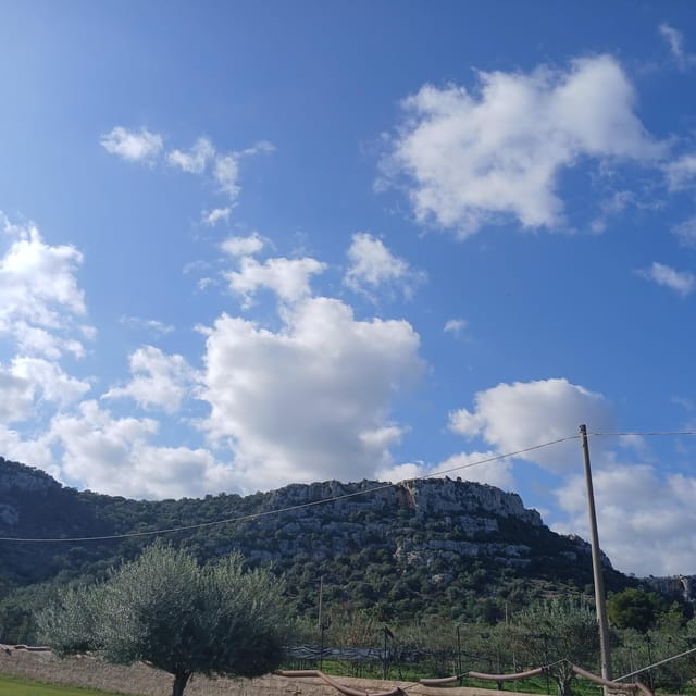 Sicily tour - Exploring Sicily in a Day: A Practical Guide