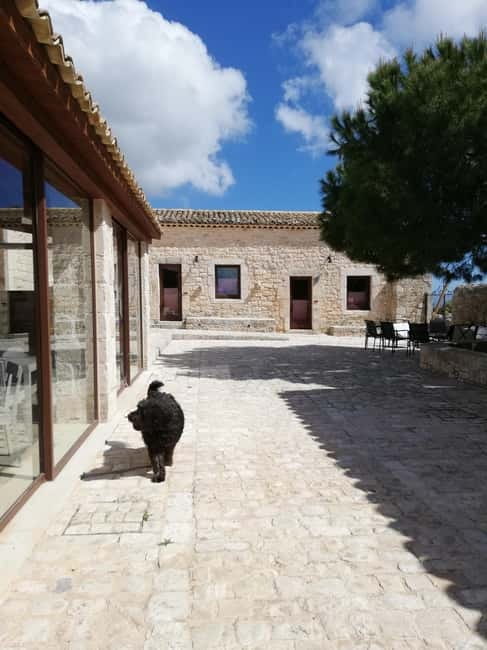 Sicily: Traditional Cooking Class with Dinner - Logistics: Timing, Cost, and Practicalities