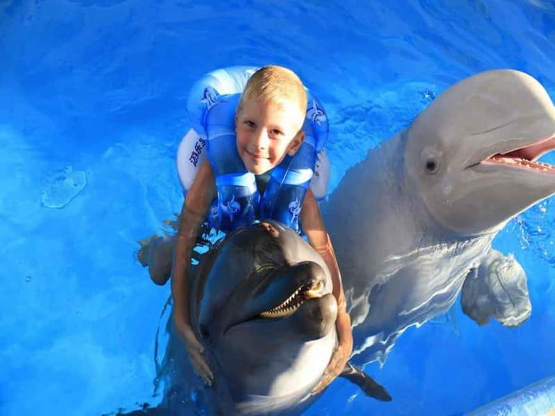 Side/Alanya: Swimming with Dolphins and Dolphin Show - Key Points and Takeaways