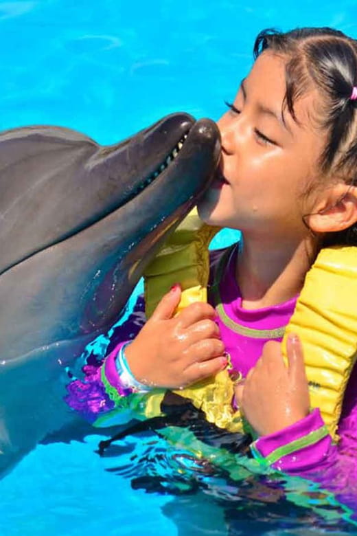 Side/Alanya: Swimming with Dolphins and Dolphin Show - Interaction with Seals and Sea Lions