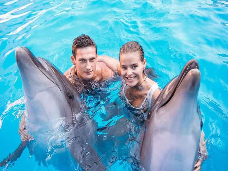 Side/Alanya: Swimming with Dolphins and Dolphin Show - Practicalities and Logistics