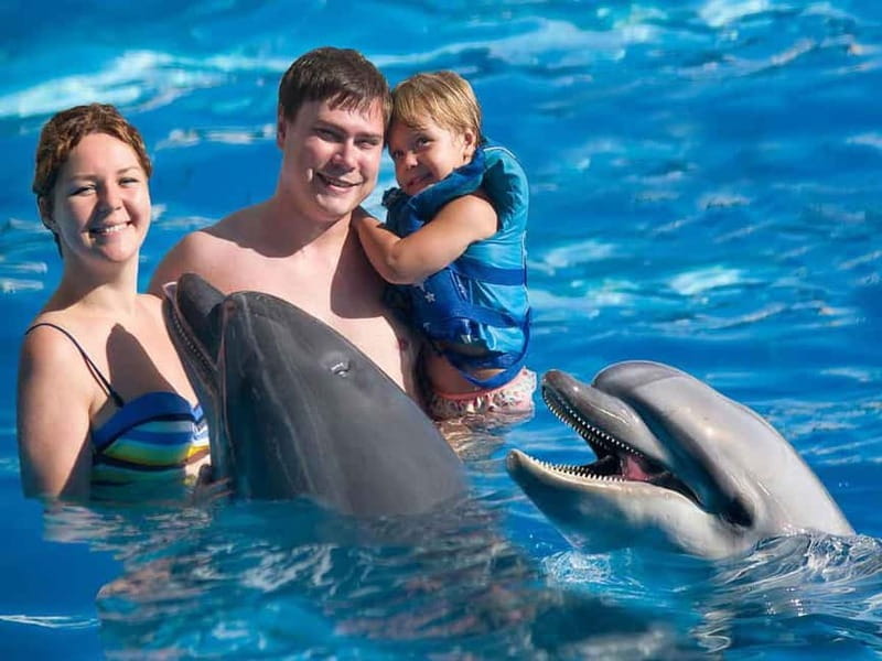 Side/Alanya: Swimming with Dolphins and Dolphin Show - Final Thoughts: Is It Worth It?