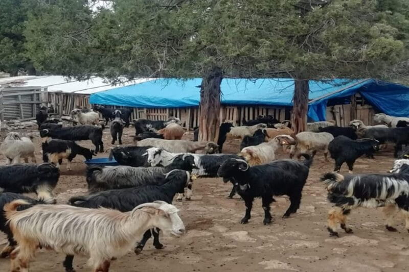 Side: Cabrio Bus and Boat Tour (Combined Mix Tour) - Final Thoughts: Who Should Consider This Tour?