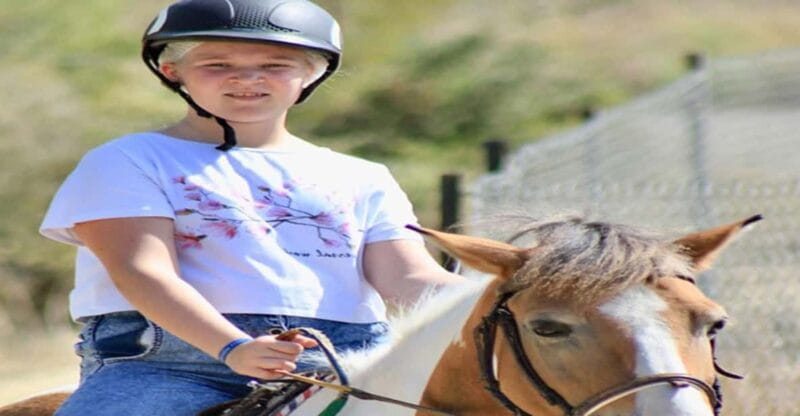 Side: Horse Safari Tour - Key Points / Takeaways