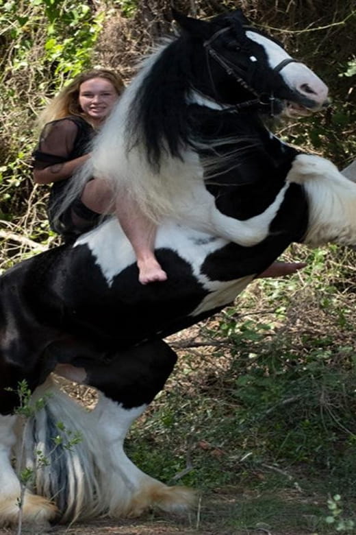 Side: Horse Safari Tour - What You Can Expect During the Tour