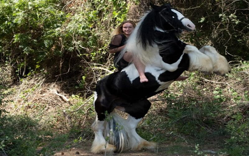 Side: Horse Safari Tour - FAQ