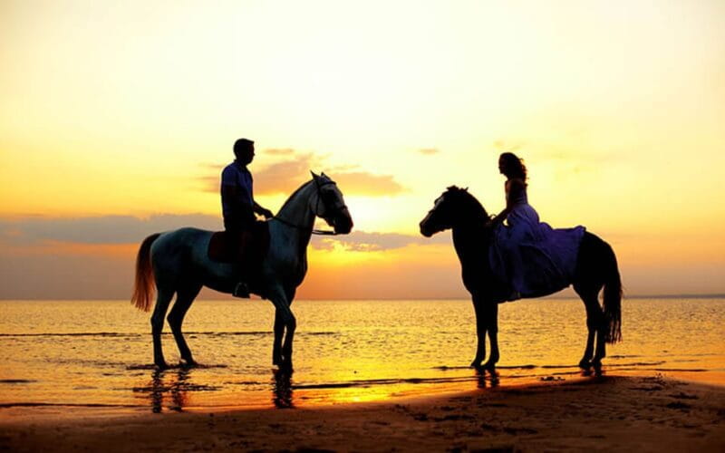 Side: Horseback Riding Tour in Nature with Transfer - Entering The World of Horseback Riding in Side