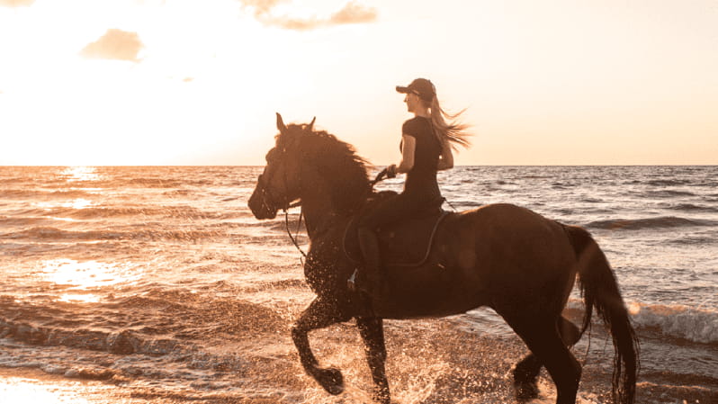 Side: Horseback Riding Tour in Nature with Transfer - Who Is This Tour Best Suited For?