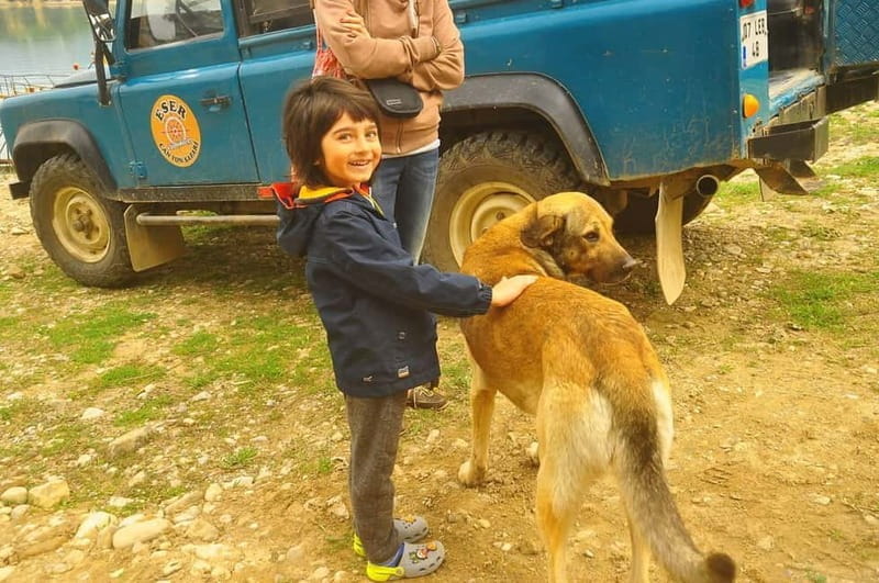 Side: Jeep Safari & Lion Safari with Lunch and Green Canyon - Who This Tour Is Perfect For