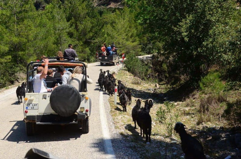 Side: Jeep Safari & Lion Safari with Lunch and Green Canyon - FAQ