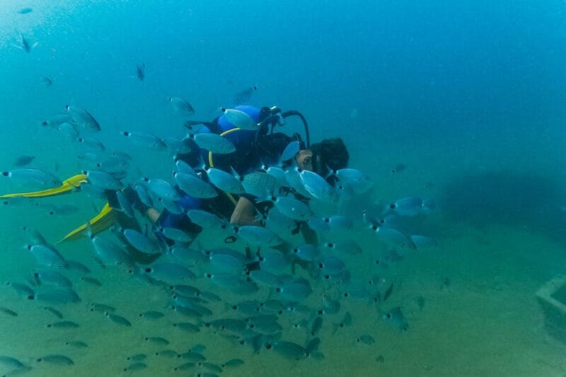 Side: Scuba Diving, Underwater Museum, 2 Dives incl. Lunch - Final Thoughts