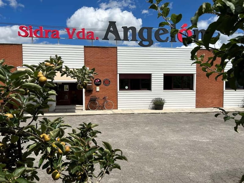 Sidra Vda. de Angelón: guided visit to a cider mill with tasting - Key Points / Takeaways