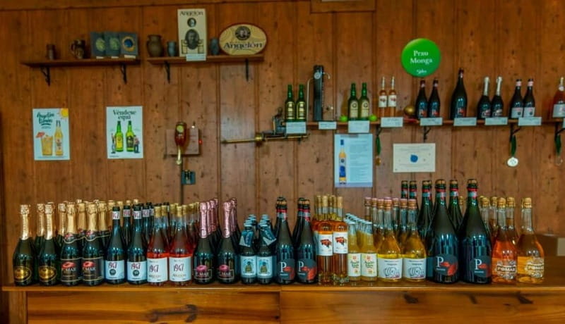 Sidra Vda. de Angelón: guided visit to a cider mill with tasting - FAQs