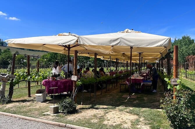 Siena and San Gimignano from Rome: Private Wine Tour in Tuscany - San Gimignano: The Towered Town