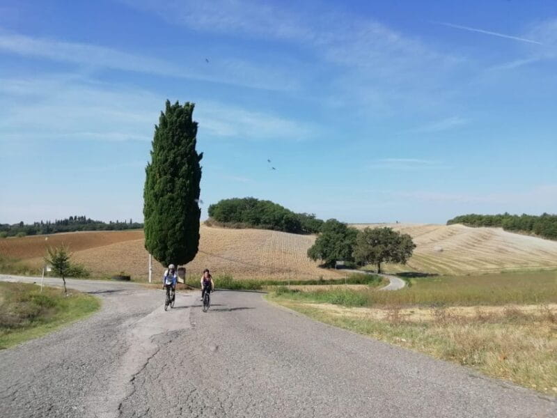 Siena: Chianti Classico Guided Cycling Tour - Who Will Love This Tour?