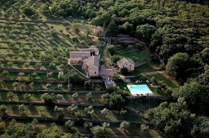 Siena: EVO oil experience with walk, tasting and lunch - Key points / Takeaways