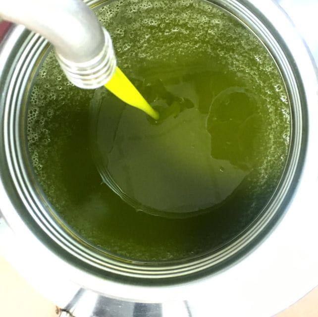 Siena: EVO oil experience with walk, tasting and lunch - Why This Experience Offers Real Value