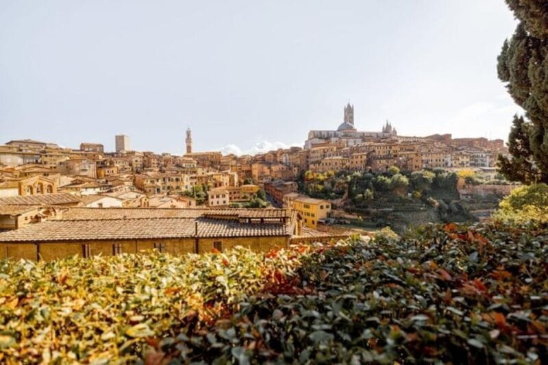 Siena : Highlights Private Walking tour - Who Will Enjoy This Tour?