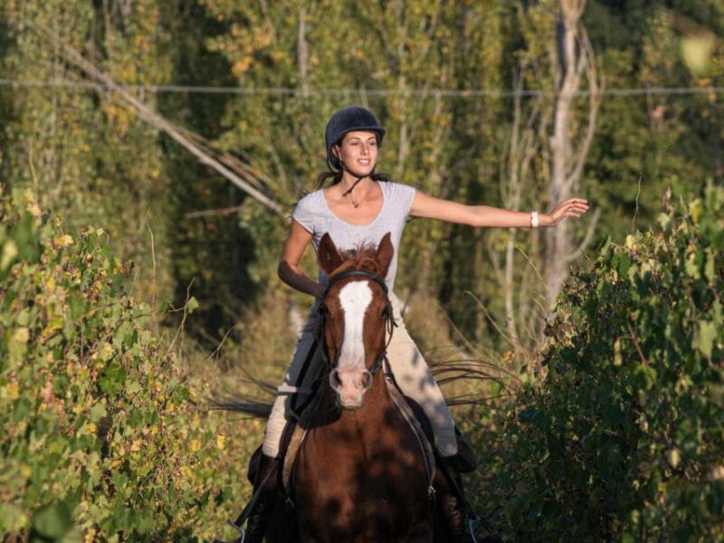 Siena: Horseback Adventure in the Tuscan Countryside - Key Points / Takeaways