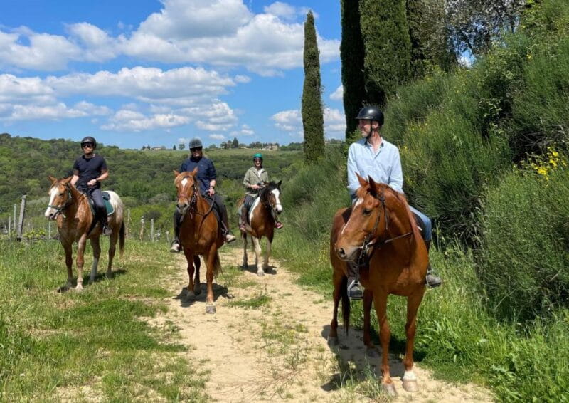 Siena: Horseback Adventure in the Tuscan Countryside - Who Will Love This Tour?