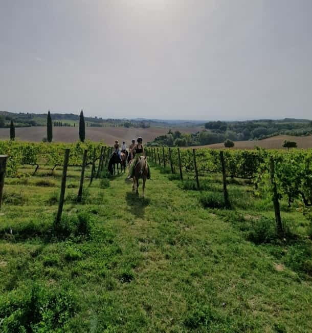 Siena: Horseback Riding Tour in the Tuscany Countryside - Key points / Takeaways