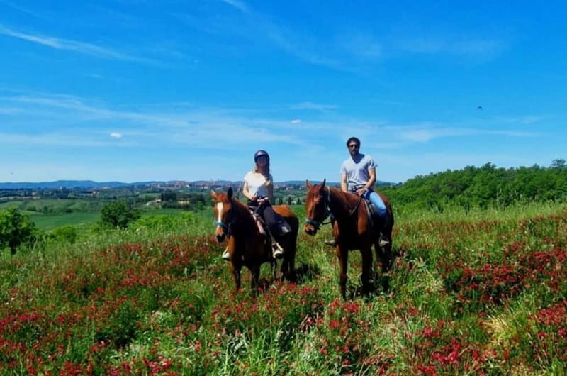 Siena: Horseback Riding Tour in the Tuscany Countryside - Who Is This Tour Perfect For?