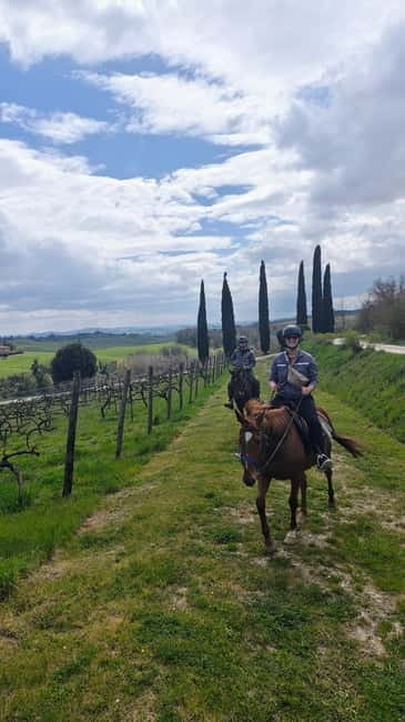 Siena: Horseback Riding Tour in the Tuscany Countryside - Authentic Experiences and Guest Feedback