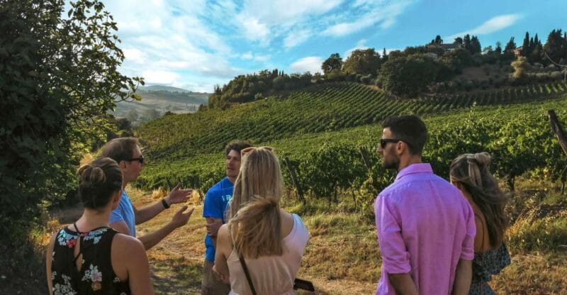Siena: Organic Winery Tour and Wine Tasting - Key points / Takeaways