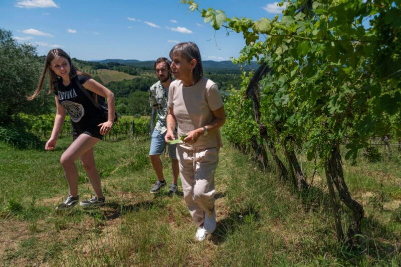 Siena: Organic Winery Tour and Wine Tasting - Exploring the Vineyard and Learning About Organic Winemaking