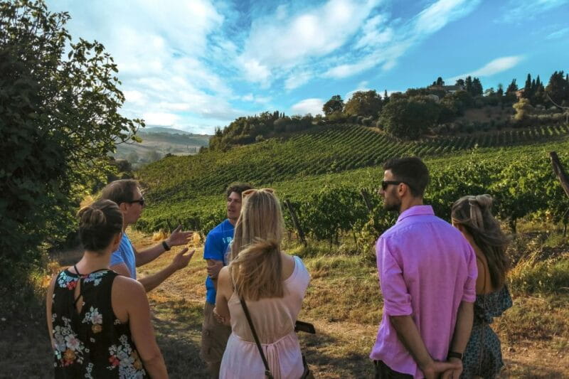 Siena: Organic Winery Tour and Wine Tasting - Practical Details: Logistics, Price, and Value